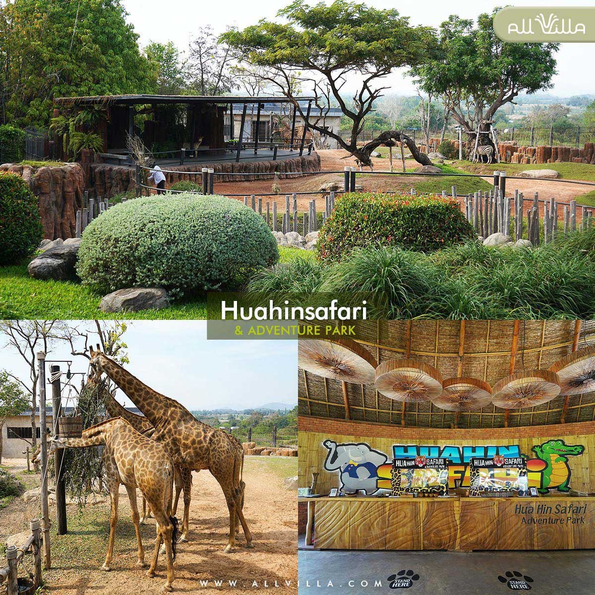 HuaHin Safari & Adventure Park